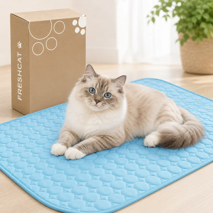 Koelmat Katten