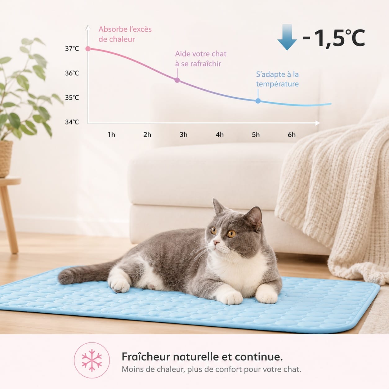 Koelmat Katten